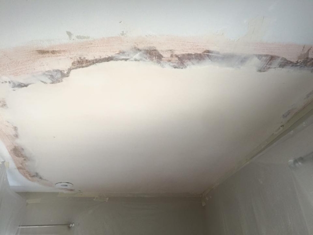 Bedroom ceiling plaster repair williamsville ny