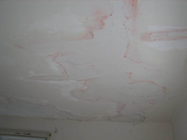 plaster patched ceiling - Clarence