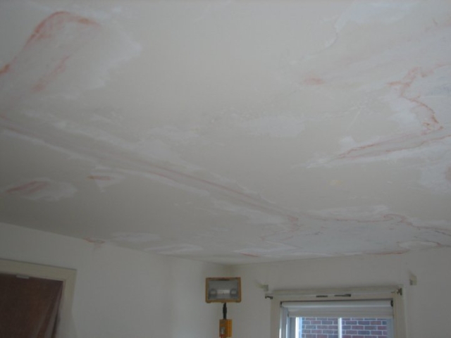 Ceiling plaster Repair - Amherst NY