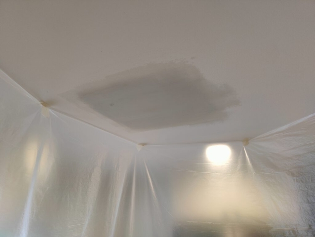 kitchen ceiling repair