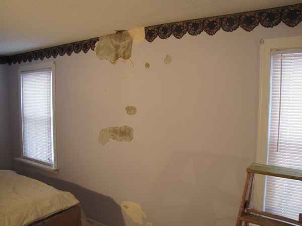 water damage plaster repair - Amherst NY