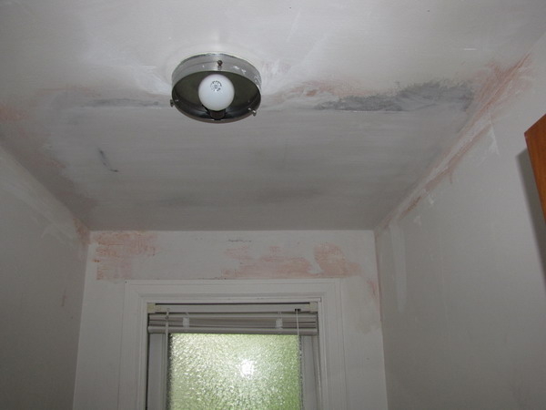 water damage plaster repair - Amherst NY