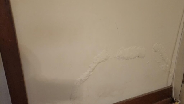 Water Damage Plaster wall