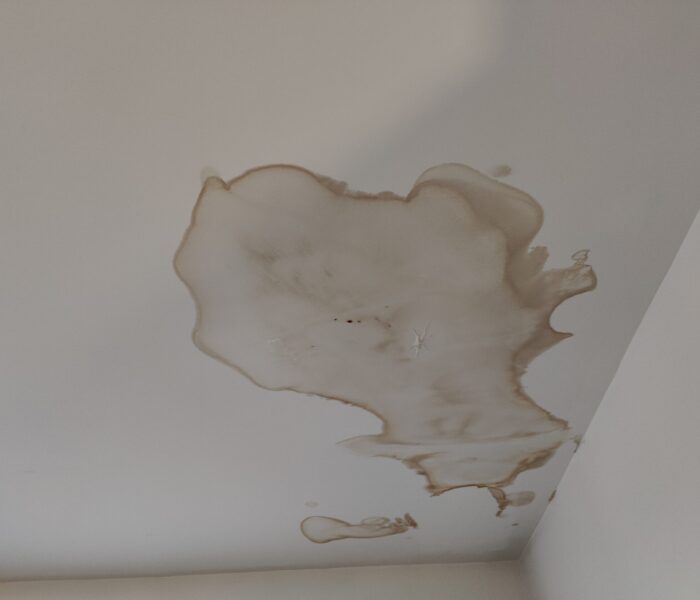 ceiling water stain