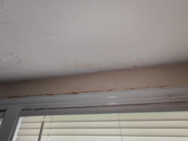water damage plaster above window