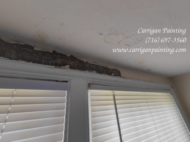 water damage palster above window, Snyder NY