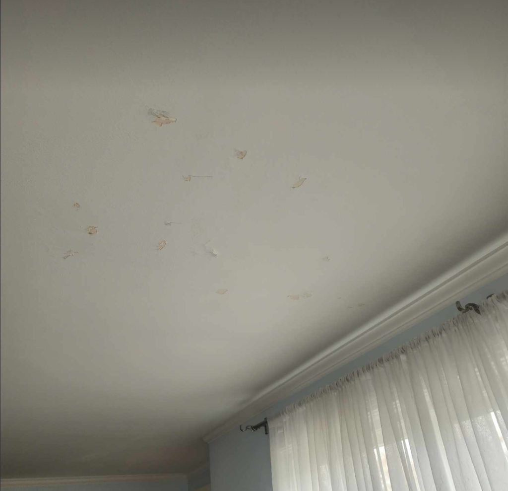 Sometimes, You have to think outside the box - Ceiling Repair