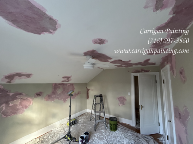 Carrigan Painting's Plaster Repair Portfolio