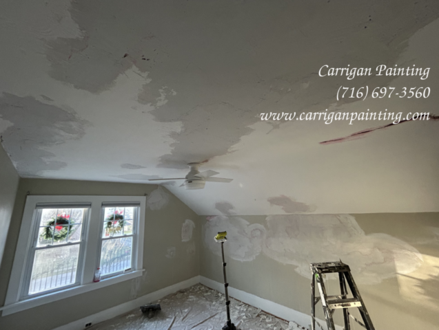 Carrigan Painting's Plaster Repair Portfolio