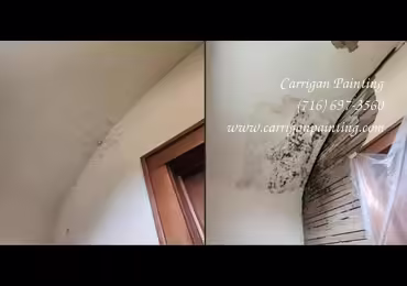 Carrigan Painting's Plaster Repair Portfolio