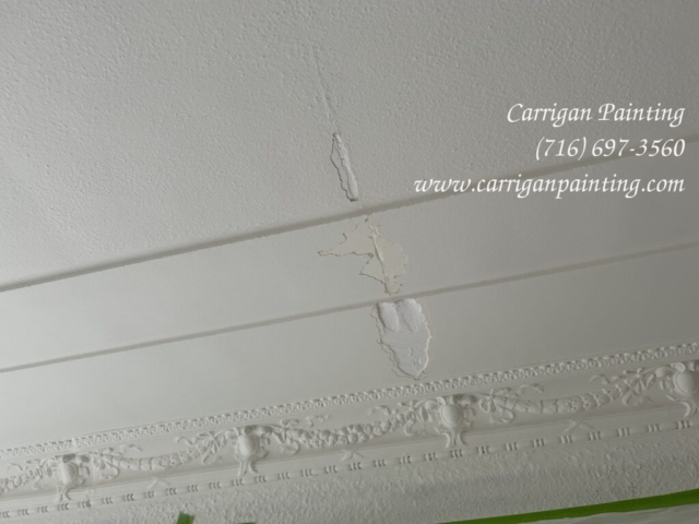damage to plaster ceiling