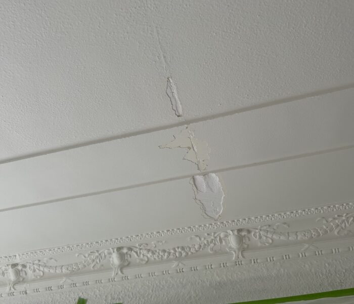 damage to plaster ceiling