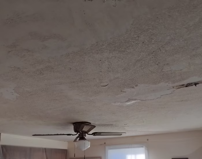 Popcorn Ceiling Portfolio