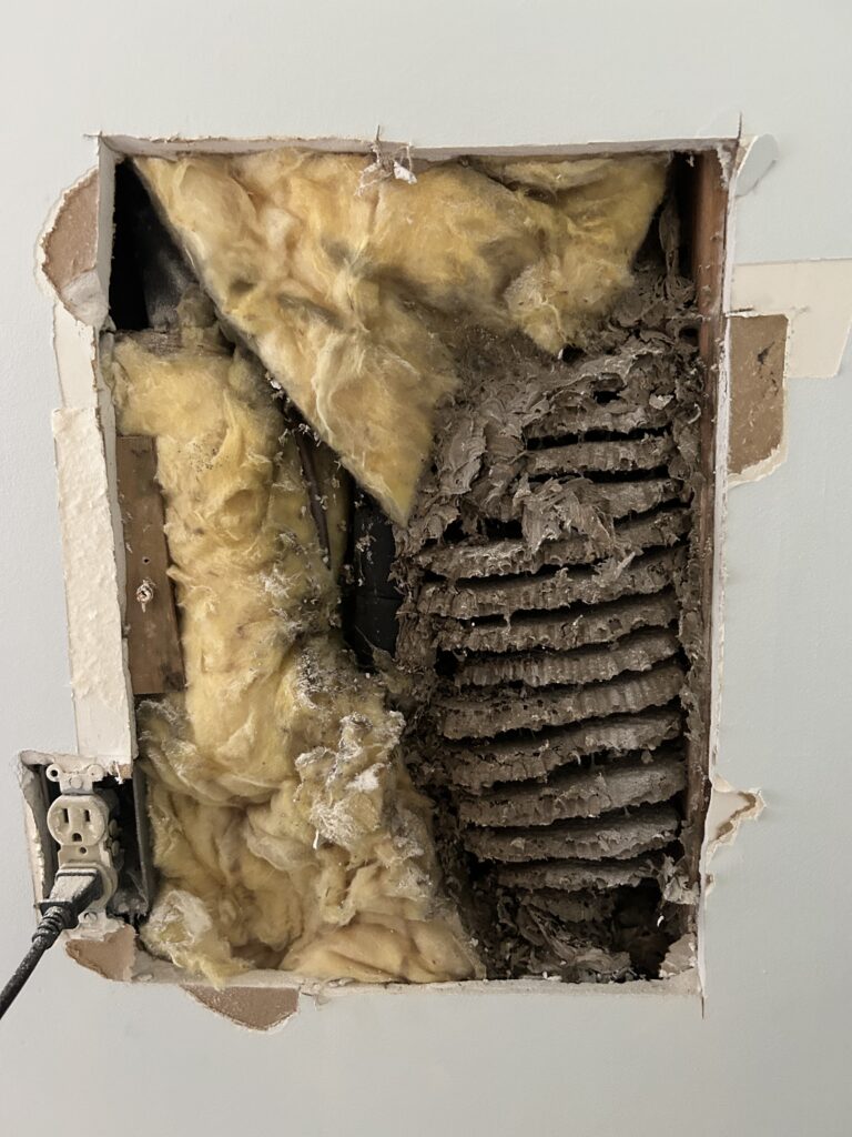 Beehive Removal and Painting in the Foxberry Condominiums, Amherst NY 🐝 5 beehive in wall