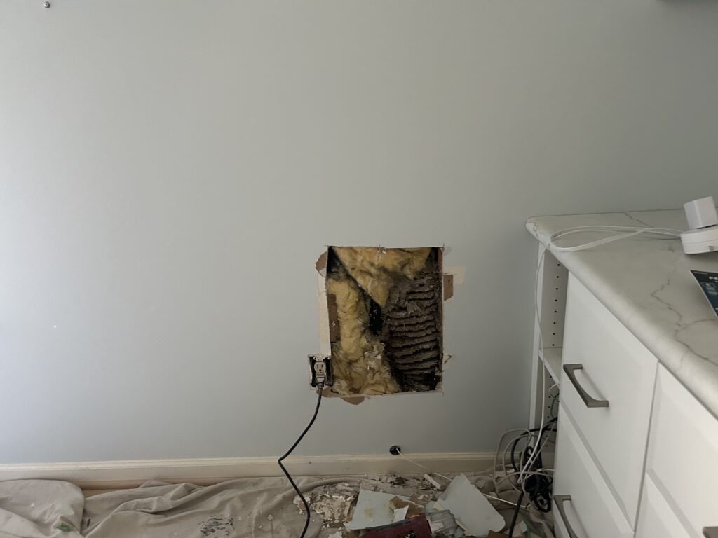 Beehive Removal and Painting  in the Foxberry Condominiums, Amherst NY 🐝