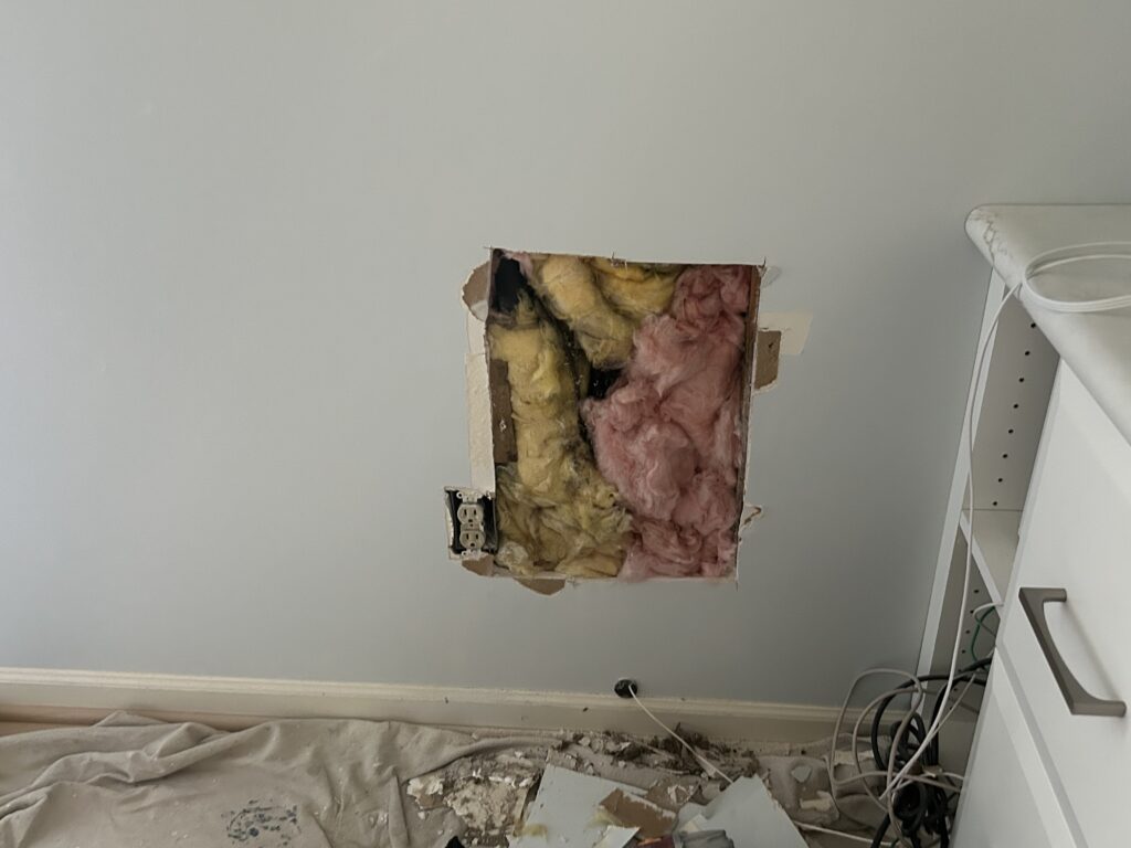 Beehive Removal and Painting in the Foxberry Condominiums, Amherst NY 🐝 6 beehive removed, insulation installed