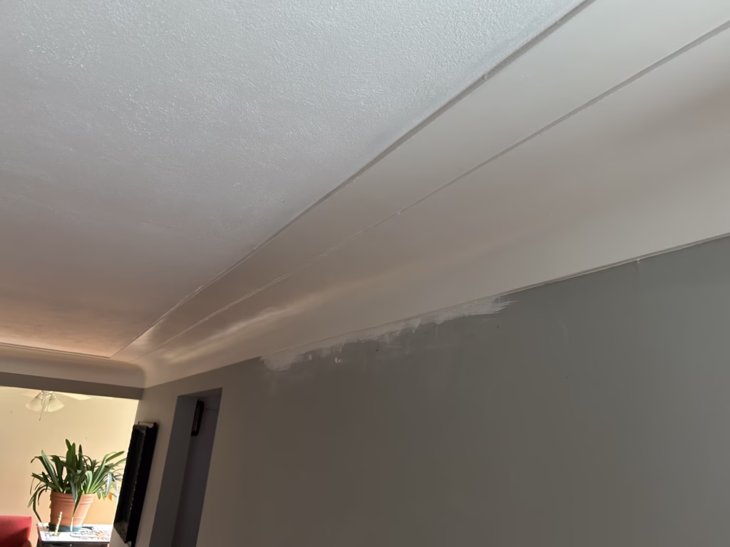 plaster-cornice-repair-orchard-park-finished-1
