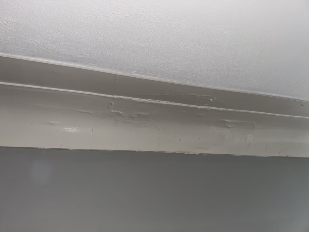 water damaged plaster cornice