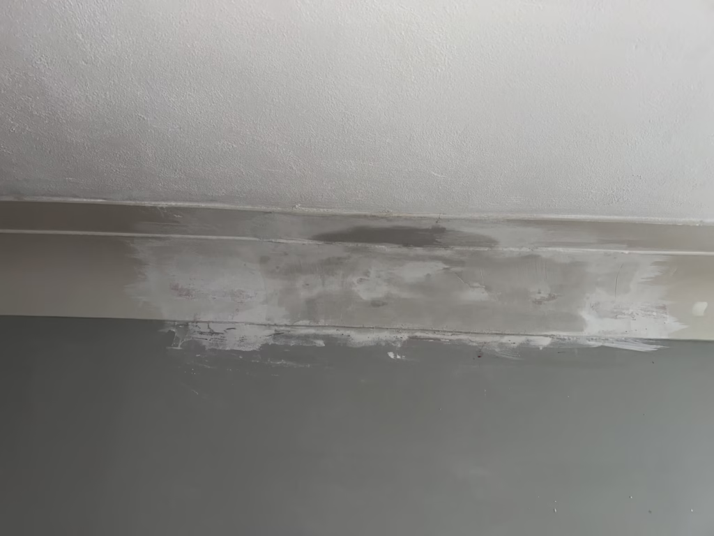 Plaster cornice repaired - wet plaster