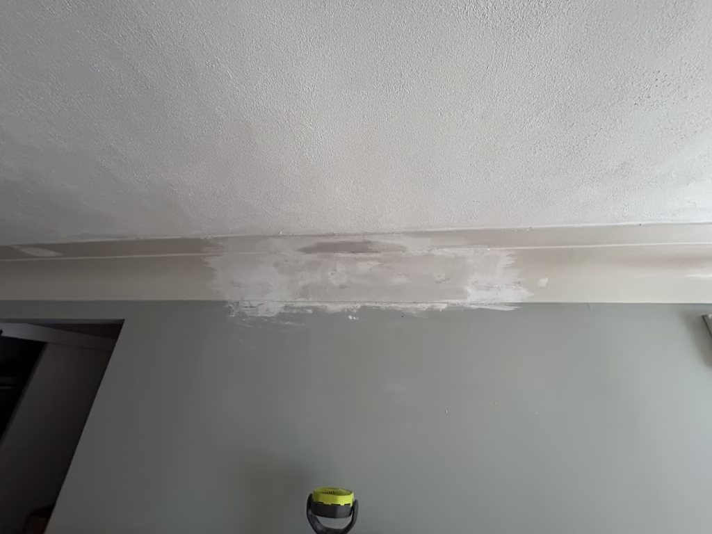 Plaster cornice repair
