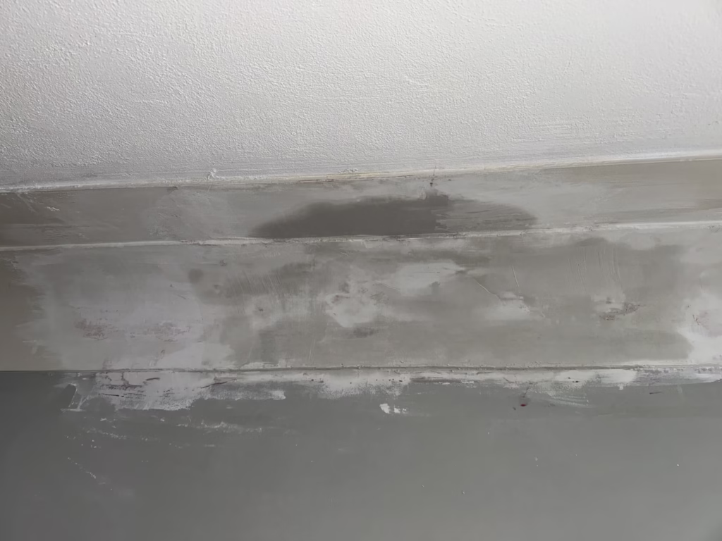 Plaster cornice repair - wet plaster