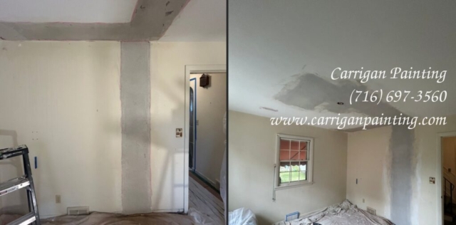 Carrigan Painting's Plaster Repair Portfolio