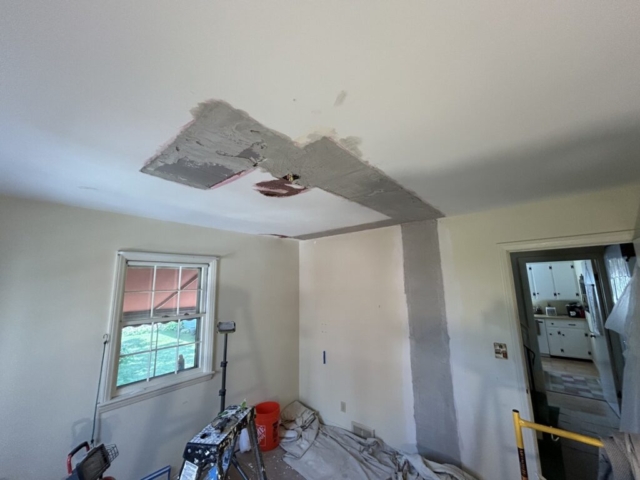 Ceiling Repair Portfolio