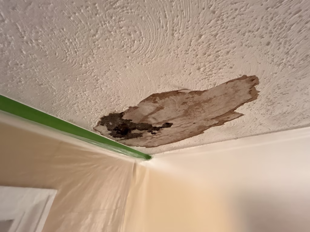 Popcorn Swirl Ceiling Repair in Elma NY 3 ceiling water damage repair