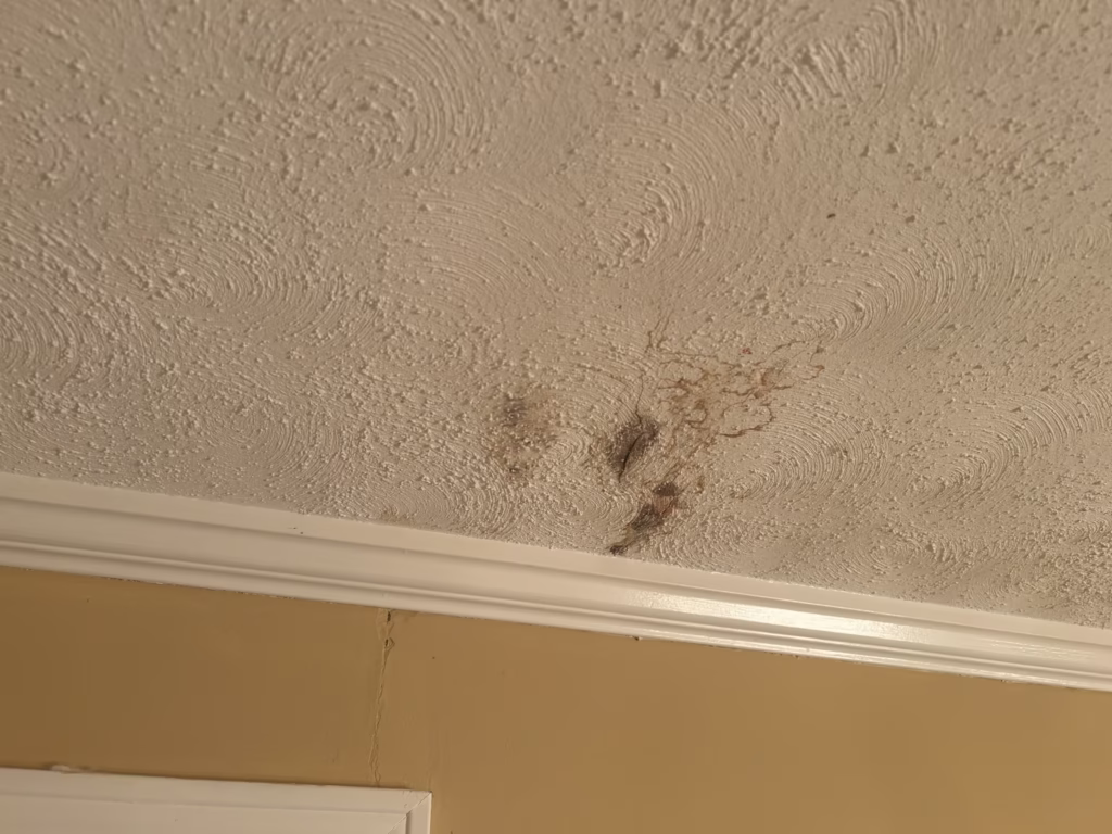 Popcorn Swirl Ceiling Repair in Elma NY 2 ceiling water damage