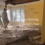 Emergency Ceiling Repair in Williamsville - Part I 18 Emergency ceiling repair in Williamsville NY 14221 by Carrigan Painting
