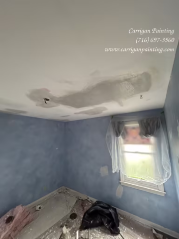 Carrigan Painting's Plaster Repair Portfolio