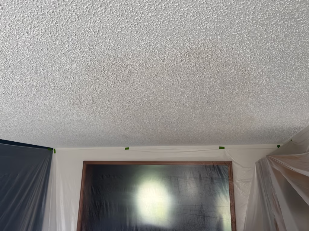 Popcorn Ceiling Repair in Cedar Ridge, West Seneca NY