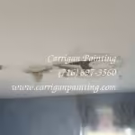 Water Damaged Plaster Repair in Kenmore 14217 - Part 1 14 Water damaged ceiling in Kenmore NY 14217