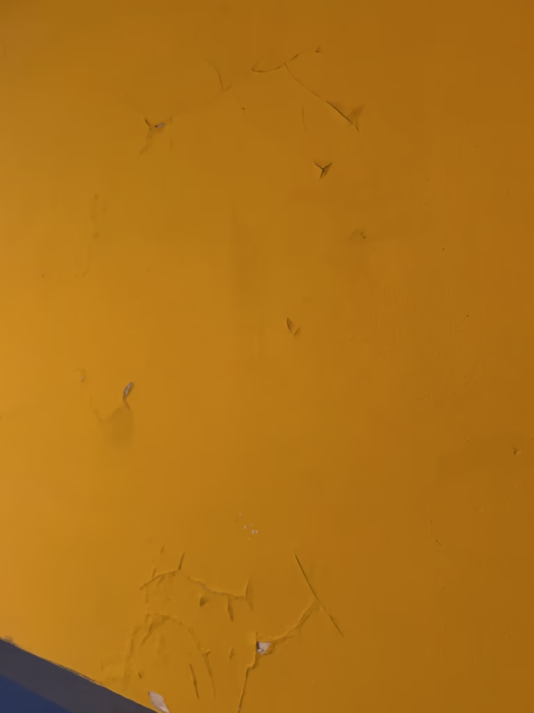 Water Damaged Plaster Repair in Kenmore 14217 - Part 1 5 Water Damaged Plaster Repair in Kenmore 14217 - Part 1
