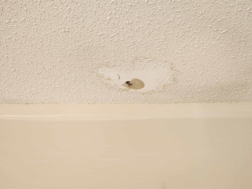 Cheektowaga Popcorn Ceiling Repair and Painting