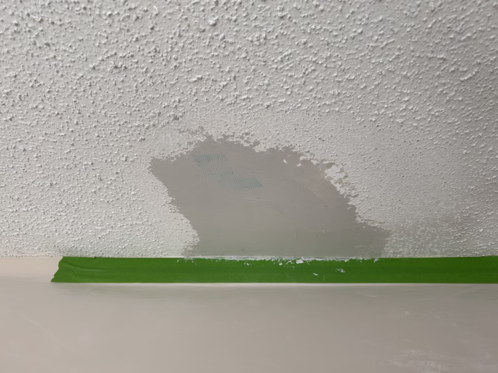 Ceiling repair in Cheektowaga NY 14227
