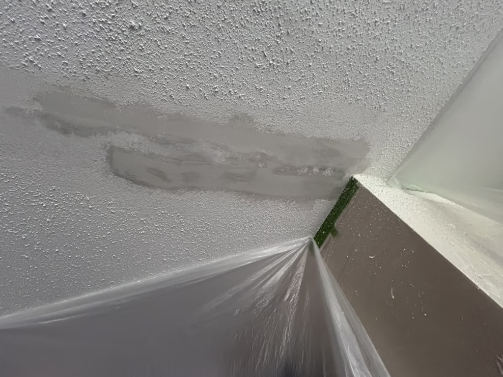 Lancaster NY Ceiling Crack Repair 13 Lancaster NY Ceiling Crack Repair