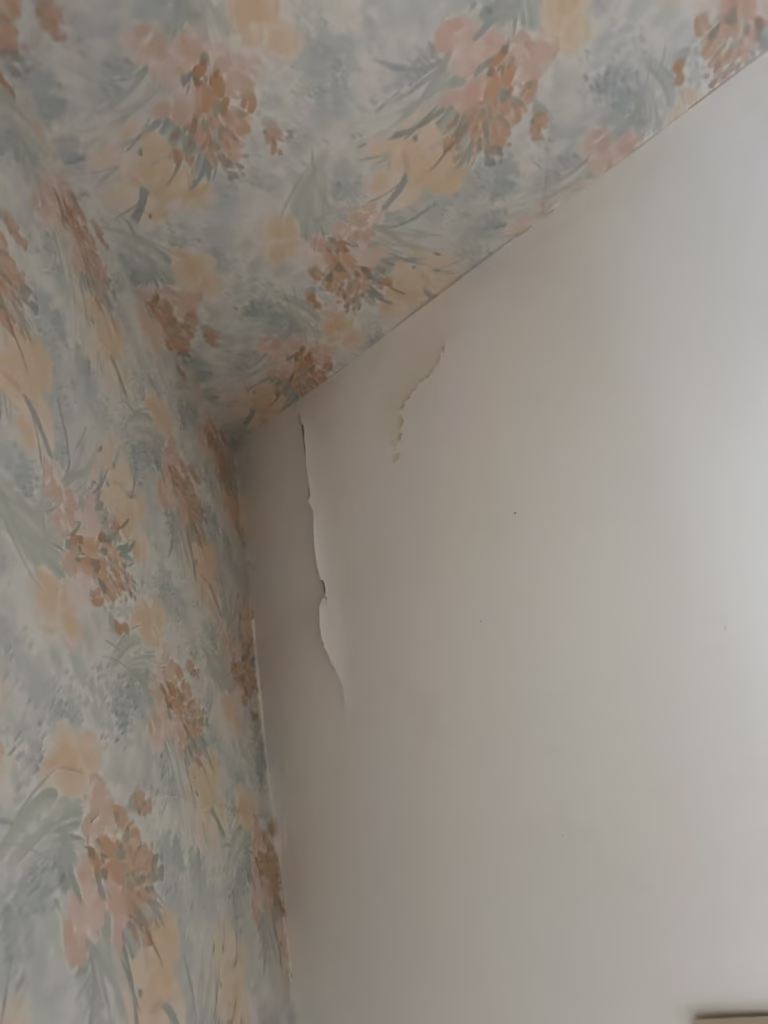 East Amherst Drywall Repair and Painting 9 Minor water damage to bathroom ceiling in Roxbury Park East Amherst 14051