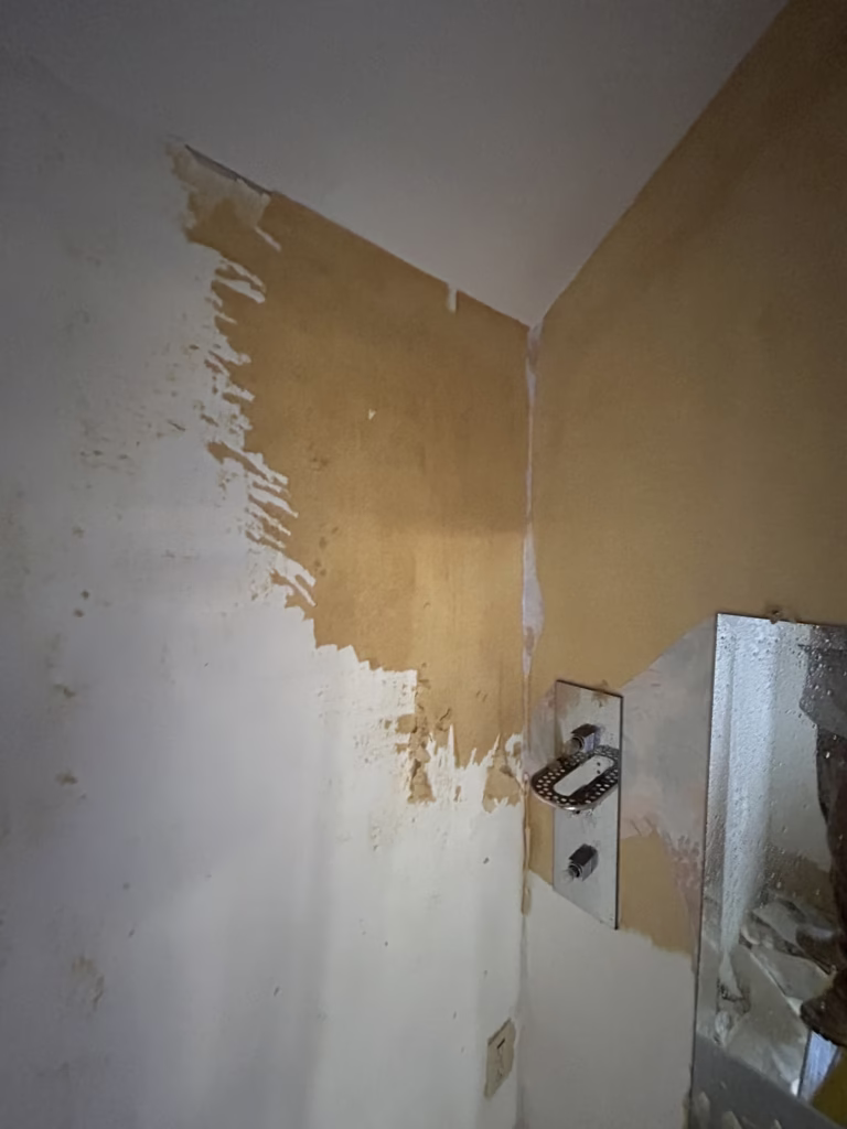East Amherst Drywall Repair and Painting 10 wallpaper that wont come off bathroom walls in Roxbury Park, East Amherst NY 14051