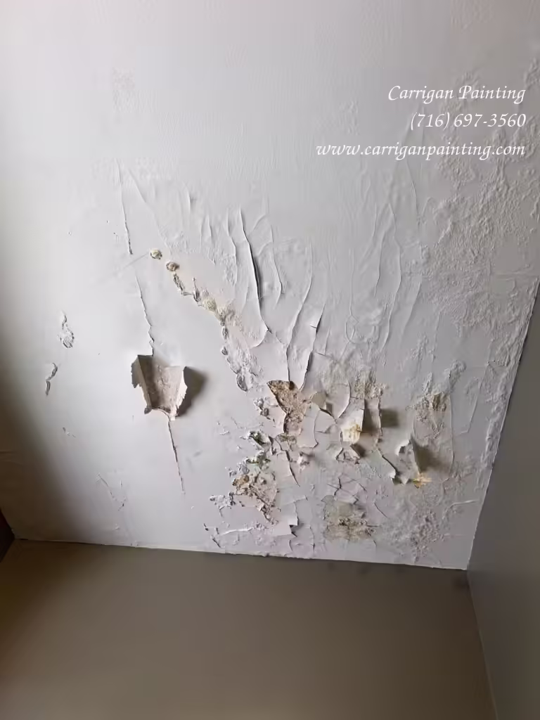 water damage to plaster ceiling from a roof leak in Tonawanda NY