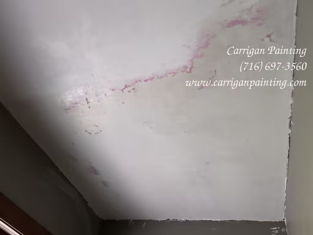 Plaster ceiling patch