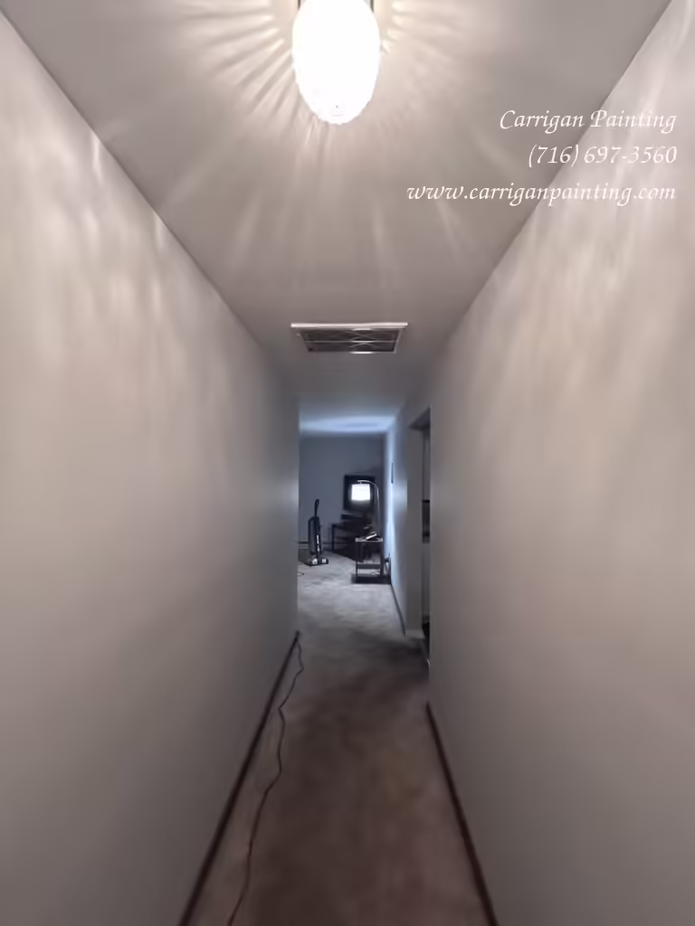 Cheektowaga NY: Drywall Patch in a Plaster Ceiling - Skim Coating