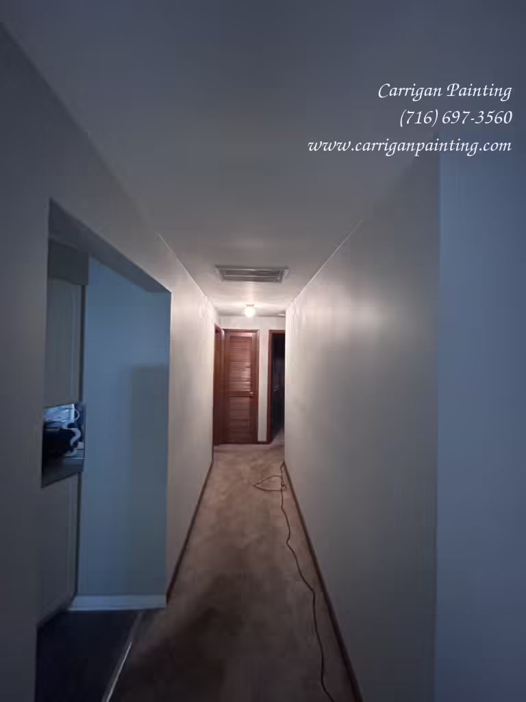 Cheektowaga NY: Drywall Patch in a Plaster Ceiling - Skim Coating