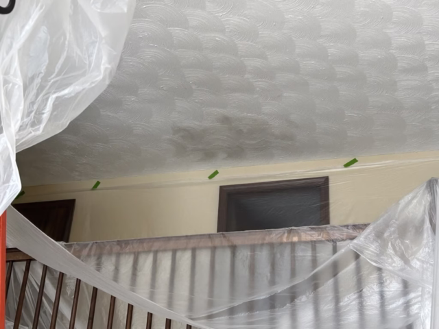 Ceiling Repair Portfolio