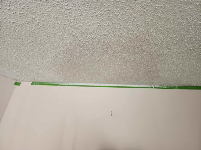 Ceiling Repair Portfolio