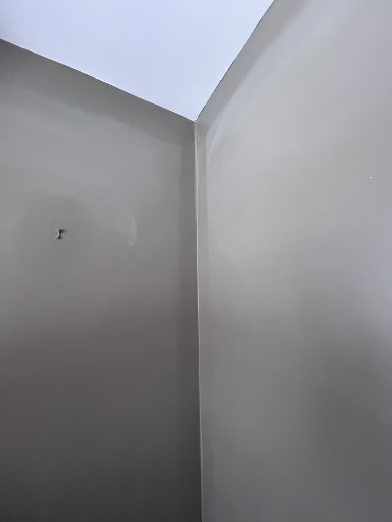 Ugly Plaster Ceiling Repair and Painting in North Tonawanda NY - Part 2 of 2