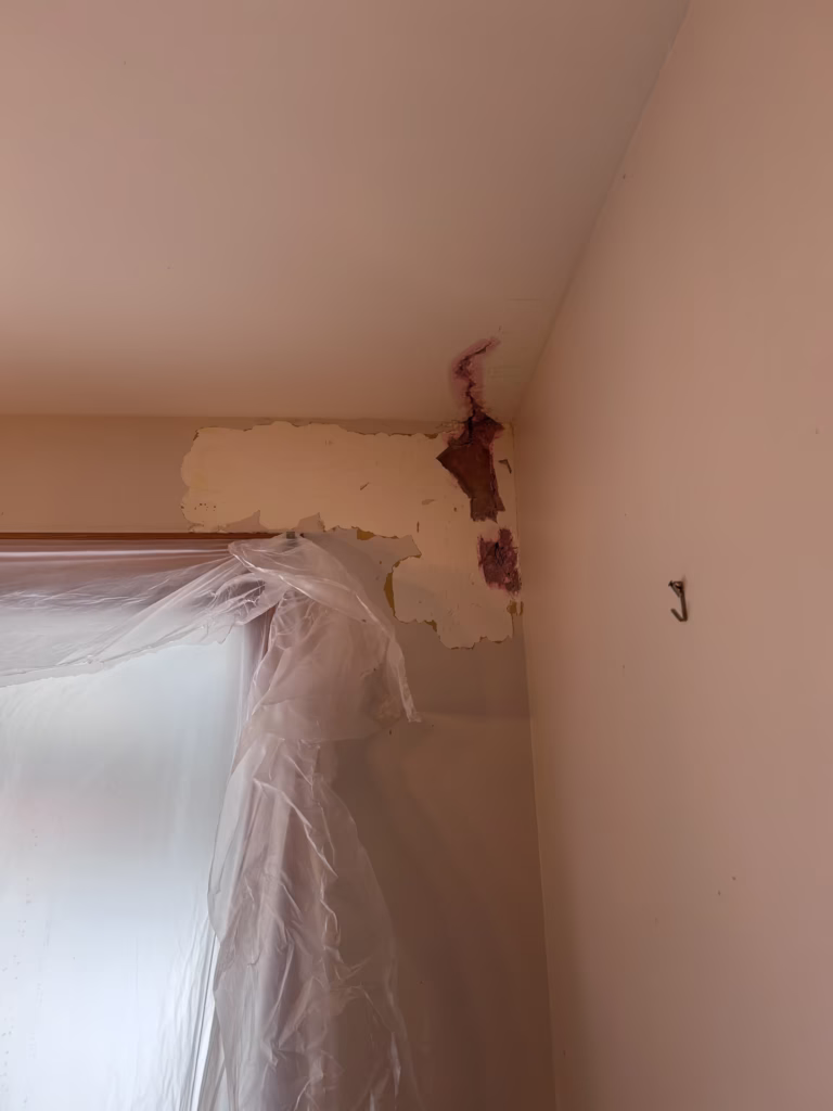 Ugly Plaster Ceiling Repair and Painting in North Tonawanda NY - Part 2 of 2