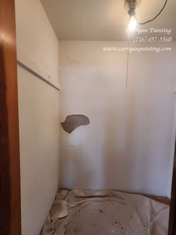 Carrigan Painting's Plaster Repair Portfolio