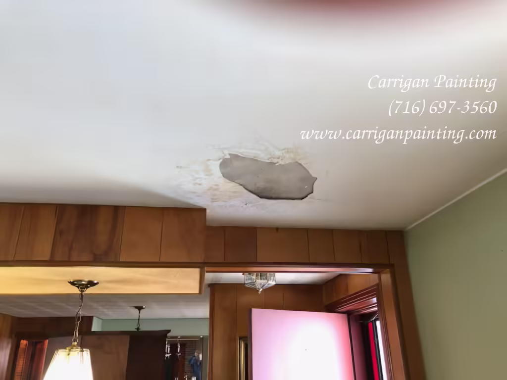 Water Damaged Plaster Repair – WNY