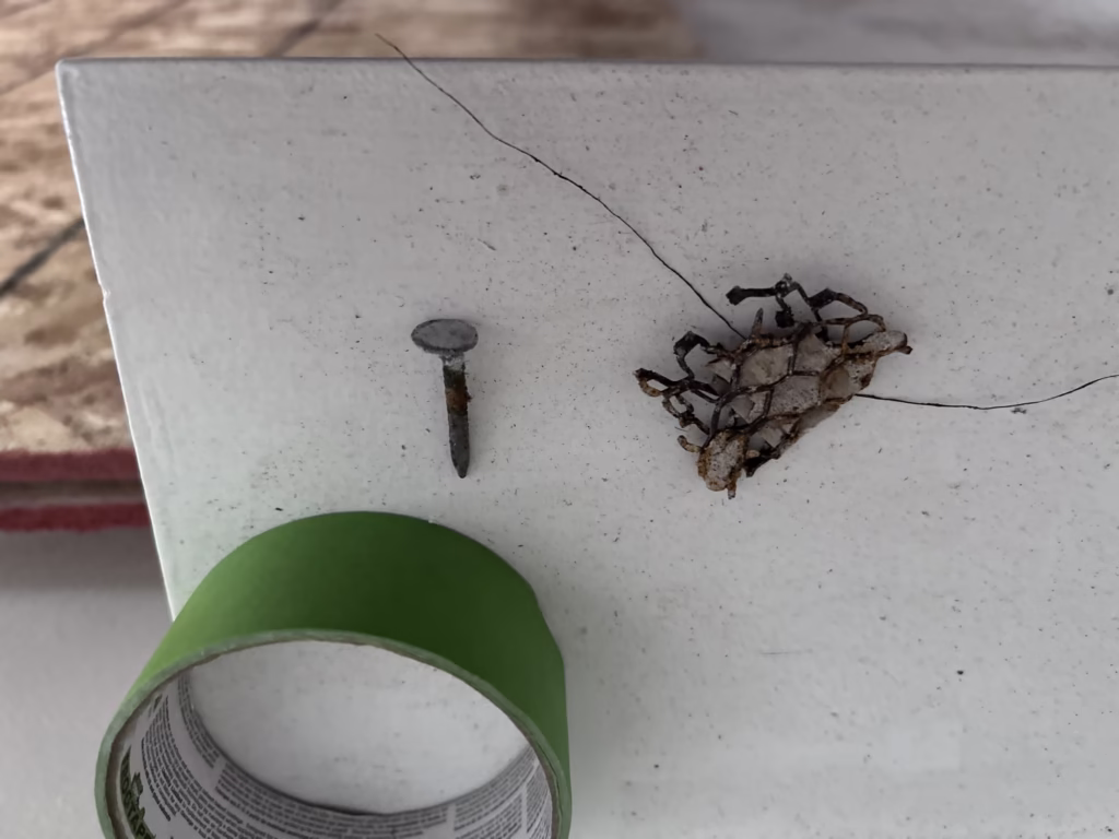 Plaster Ceiling Collapse and Restoration in Kenmore NY